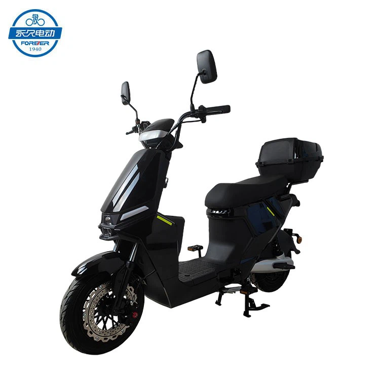 Electric Adult Motorcycle